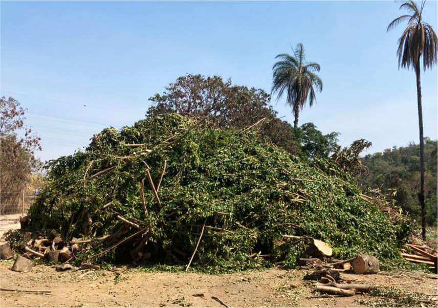 jereciclagem image2